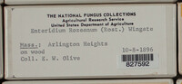 Image Associated With the Occurence